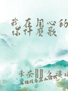 我在用心的爱着你什么歌