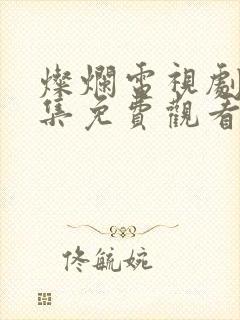 灿烂电视剧40集免费观看