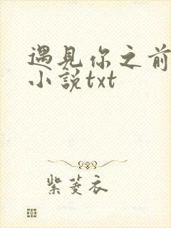 遇见你之前原著小说txt