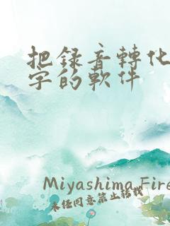 把录音转化为文字的软件