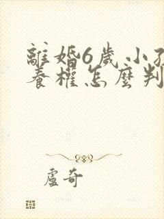 离婚6岁小孩抚养权怎么判定