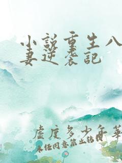 小说重生八零肥妻逆袭记