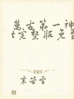 万古第一神txt完整版免费下载