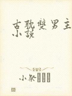 古耽双男主生子小说