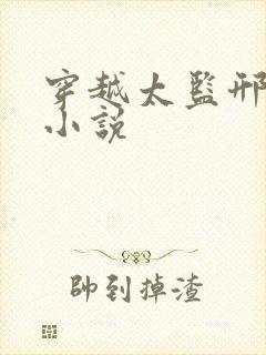 穿越太监邢棒的小说