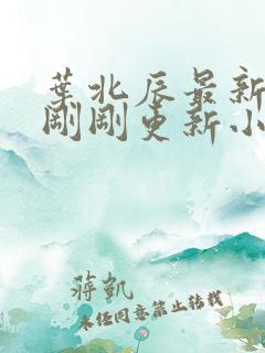 叶北辰最新章节刚刚更新小说全文阅