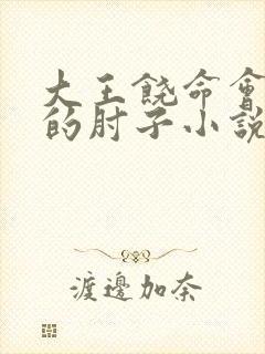 大王饶命会说话的肘子小说