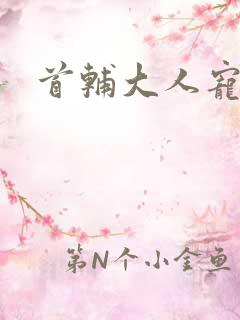 首辅大人宠妻录