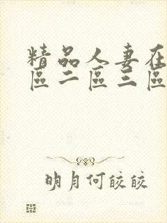 精品人妻在线一区二区三区