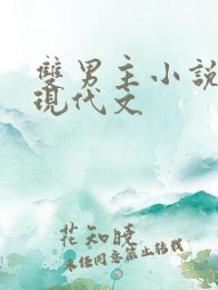 双男主小说推荐现代文