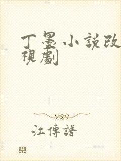 丁墨小说改编电视剧