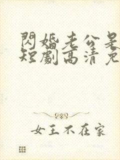 闪婚老公是豪门短剧高清免费播放