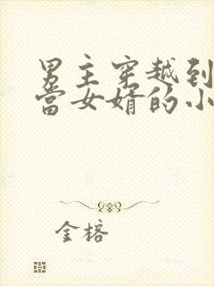 男主穿越到古代当女婿的小说