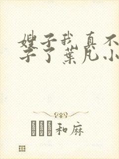 嫂子我真不是傻子了叶凡小说离线下载