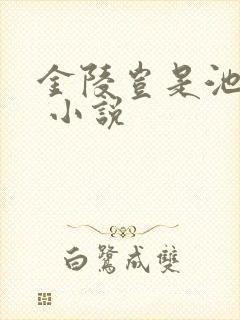 金陵岂是池中物 小说