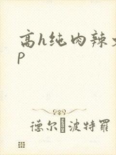 高h纯肉辣文np