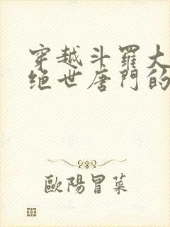 穿越斗罗大陆2绝世唐门的小说