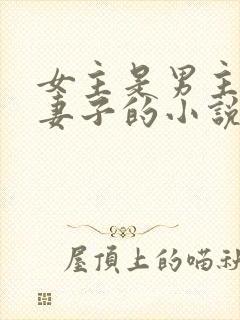 女主是男主下属妻子的小说