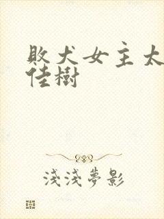 败犬女主太多了佳树