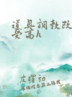 道具调教改造淫受高h