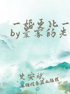 一婚更比一婚高by晨雾的光的小说