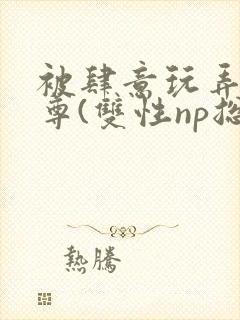 被肆意玩弄的仙尊(双性np总受)