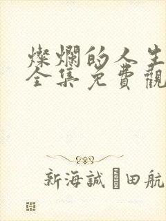 灿烂的人生韩剧全集免费观看