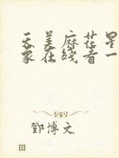 天美麻花星空大象在线看一区二区三区