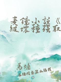 麦镜小说《被顶级坏种强取豪夺了》