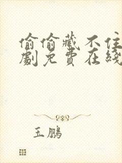 偷偷藏不住电视剧免费在线播放