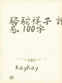 骆驼祥子 读后感 100字