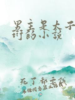 男主是太子叫萧珩的小说