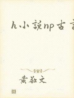 h小说np古言
