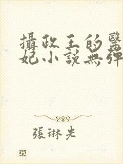 摄政王的医品狂妃小说无弹窗