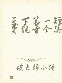 天下第一短剧免费观看全集高清