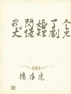 我闪婚了个财阀大佬短剧免费观看