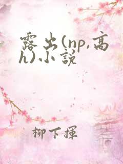 露出(np,高h)小说