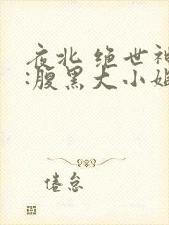 夜北 绝世神医:腹黑大小姐