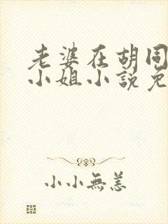 老婆在胡同里扮小姐小说免费阅读全