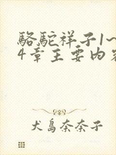 骆驼祥子1~24章主要内容