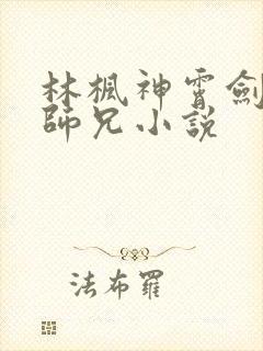 林枫神霄剑宗大师兄小说