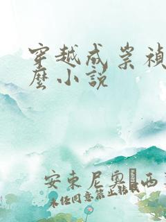 穿越成崇祯是什么小说