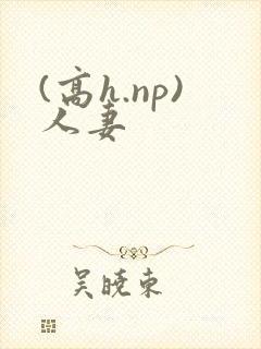 (高h.np)人妻