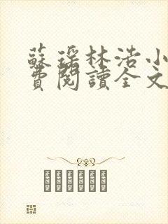 苏瑶林浩小说免费阅读全文最新章节