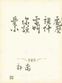 爱你电视剧原著小说叫什么