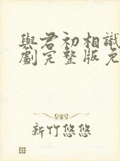 与君初相识电视剧完整版免费高清