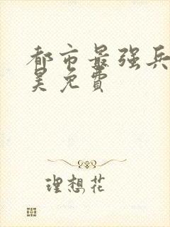 都市最强兵王叶昊免费