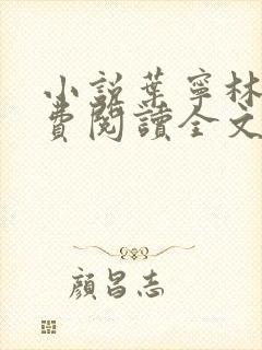 小说叶宁林雪免费阅读全文最新