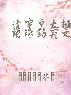 清穿皇太极和海兰珠的宠文