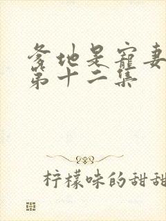 爹地是宠妻狂魔第十二集